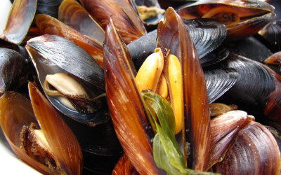 МИДИ „НА ПАРА“